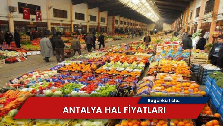 Antalya Hal Fiyatları 2024: Güncel Bugünkü Tablo..