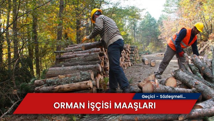 Orman İşçisi Maaşı 2024: Sözleşmeli – Geçici Maaşları