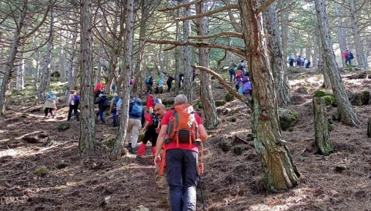 TURBELDAK üyeleri Spil Dağı’na tırmandı | Spil Dağı’nda doğanın keyfini çıkartıldı