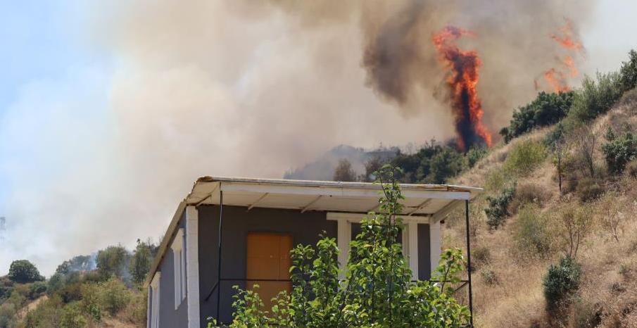 Turgutlu’daki orman yangını | Yangın kontrol altına alındı